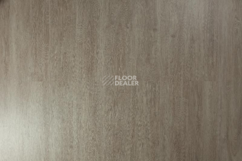 Tarkett Funky House GUSTO фото 1 | FLOORDEALER